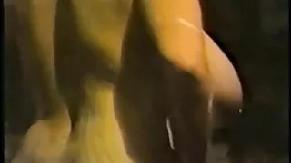 เด็กไร่เดียงสา,ทวาร,ผมบลอนด์, หนัง โป วีดีโอ